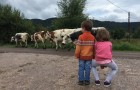 QUATRE JOURS DANS LES VOSGES 2/2