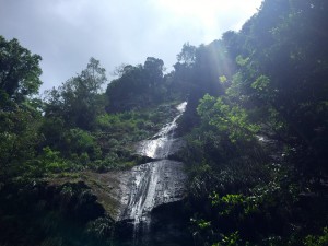 cascade Anse couleuvre Martinique