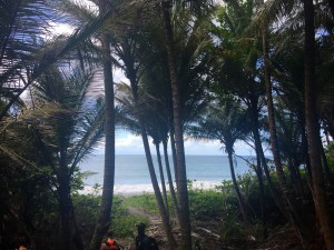 Anse couleuvre Martinique