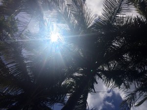 Anse couleuvre Martinique