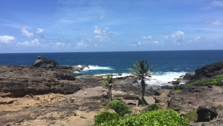 Presqu'Île de la Caravelle en Martinique