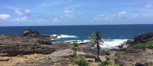 Presqu'Île de la Caravelle en Martinique