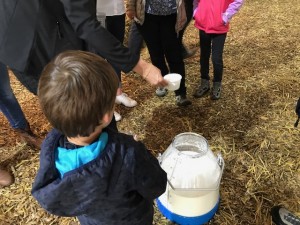 foire agricole luxembourg