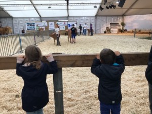 foire agricole de Ettelbruck