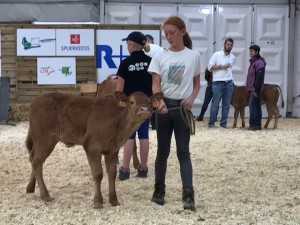 foire agricole de Ettelbruck